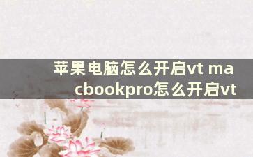 苹果电脑怎么开启vt macbookpro怎么开启vt